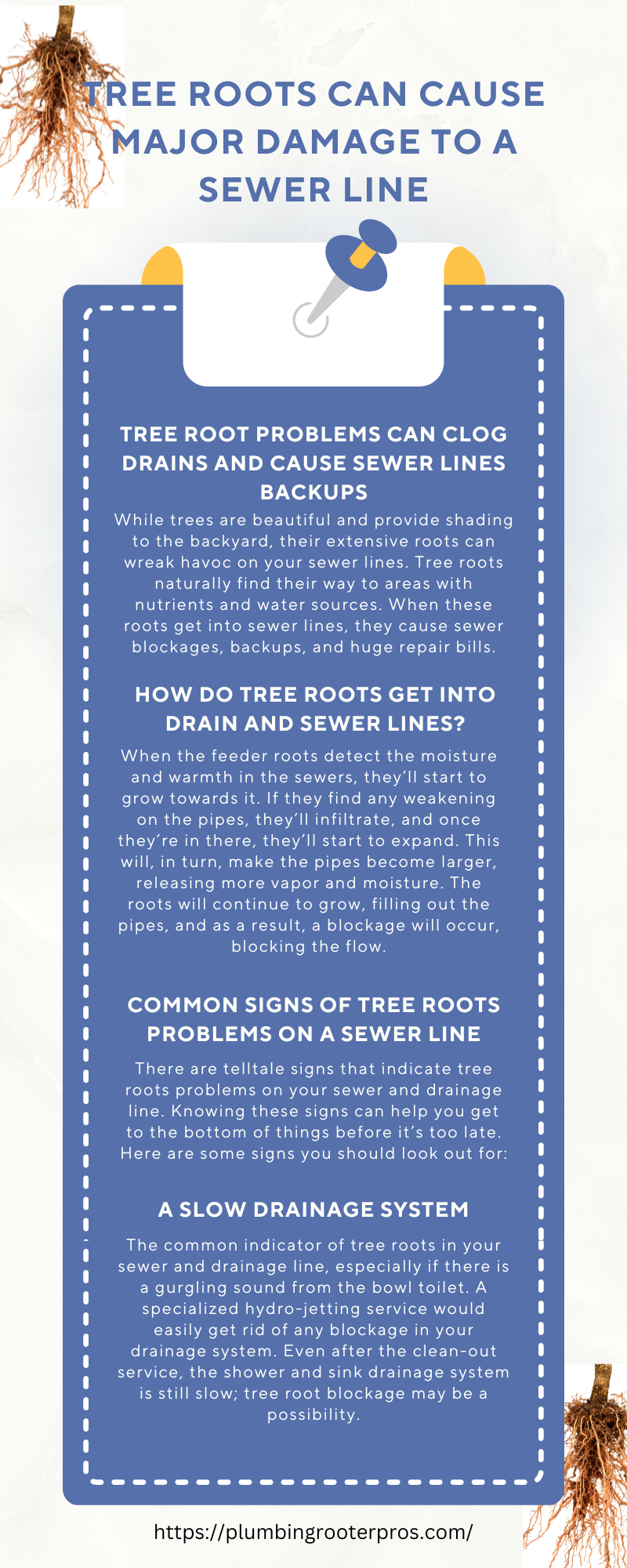 Tree Roots Can Cause Major Damage to a Sewer Line